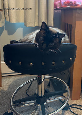 cat on stool sewing room chair