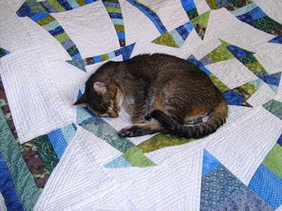 Cat Approved Quilt