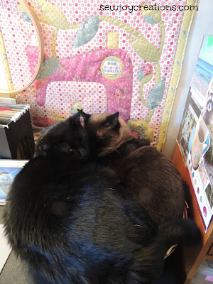 cats in the sewing room basket