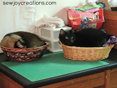 cats in baskets