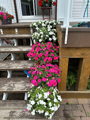 deck plants impatiens